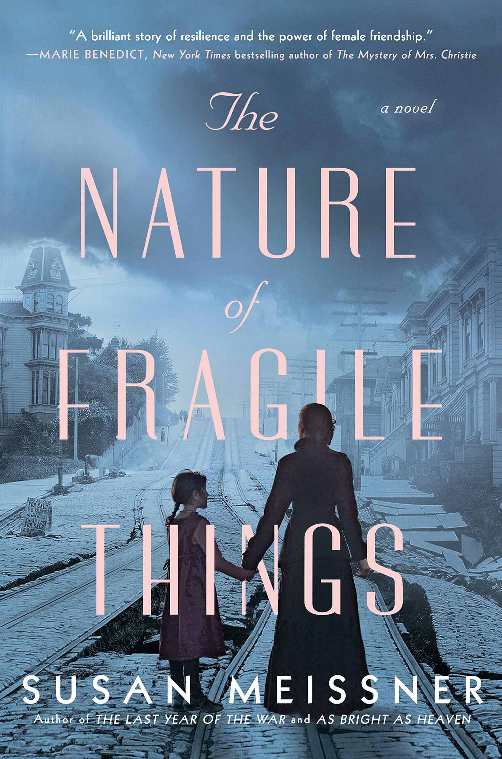 The Nature of Fragile Things Cover